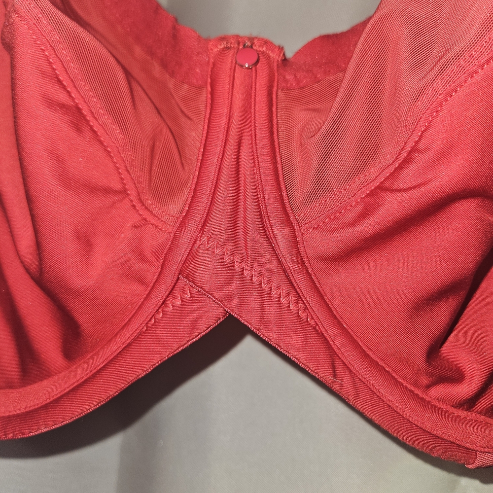 Elomi, Curvey Kate and More! In Red, Blue, Green, and Purple. (6) Size: 34K - Picture 14 of 16